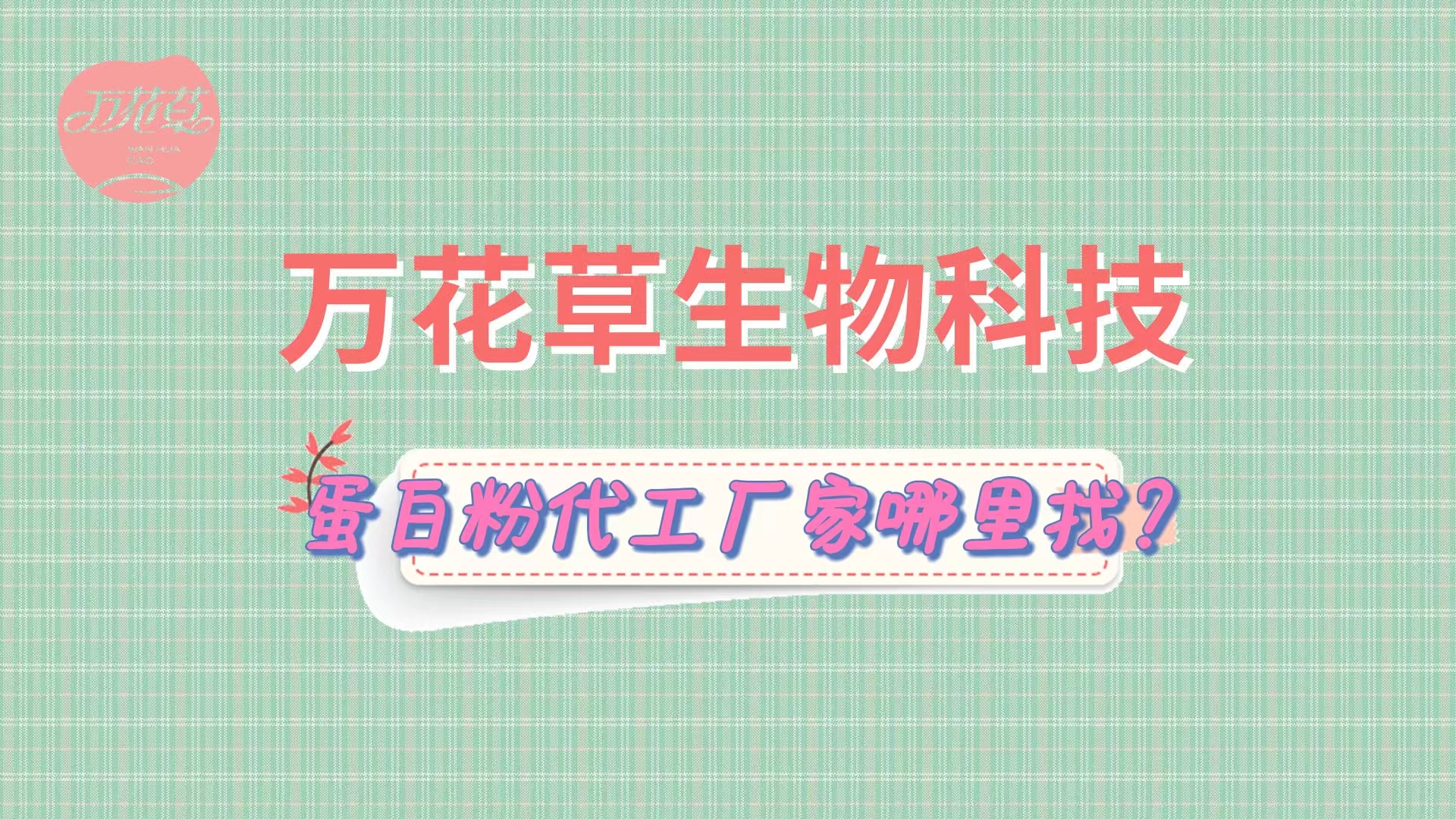 蛋白粉代加工，怎么找專業(yè)源頭廠家？