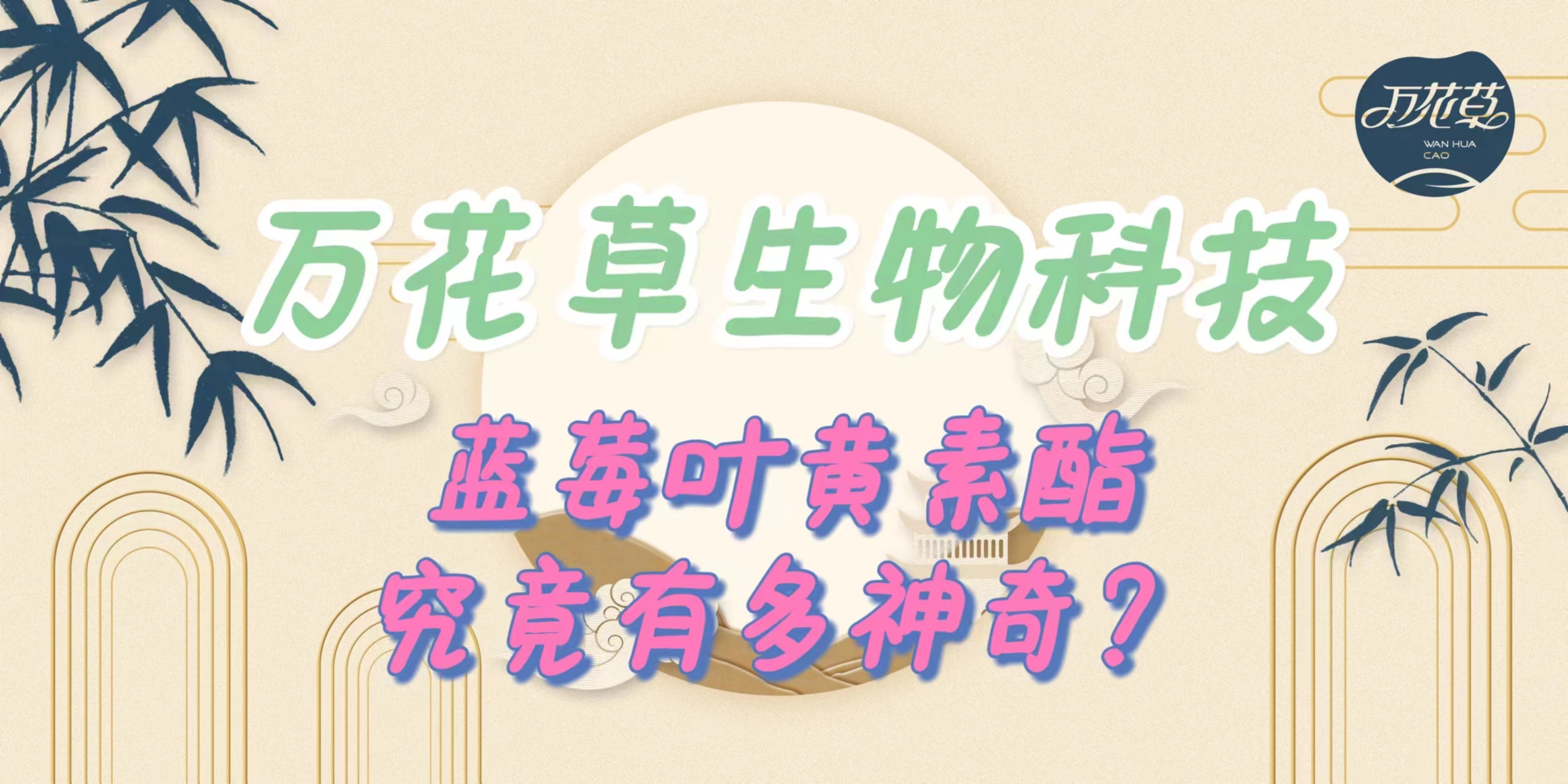 升級(jí)配方，重磅出擊，萬(wàn)花草藍(lán)莓葉黃素酯究竟有多神奇？
